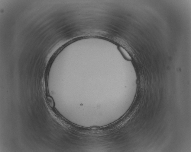 X0000073450936200608251702