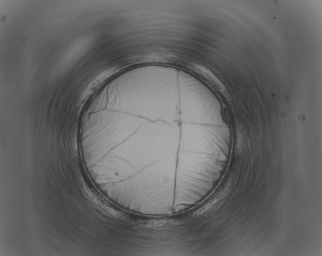 X0000073450938200608251702