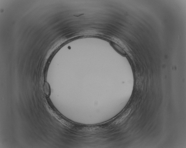 X0000073450939200608251702