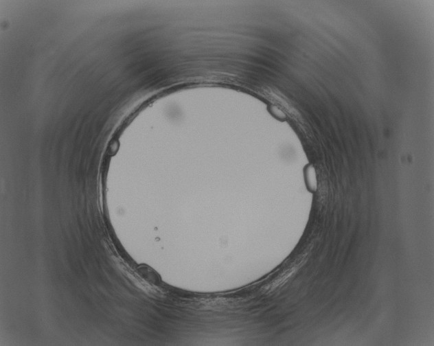 X0000073450940200608251702