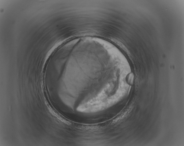 X0000073450941200608251702