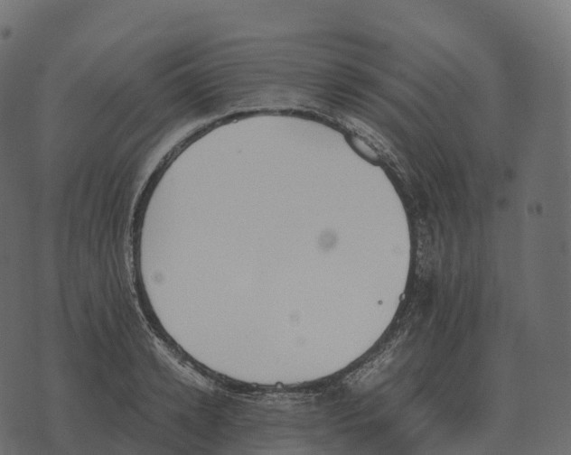 X0000073450942200608251702