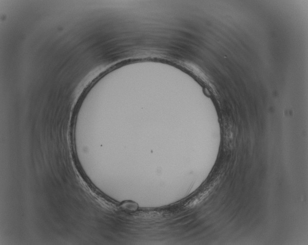 X0000073450943200608251702