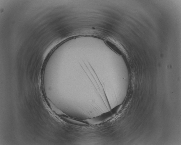 X0000073450944200608251702