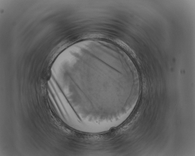 X0000073450945200608251702