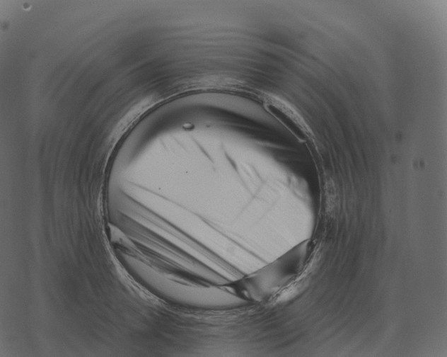 X0000073450946200608251702