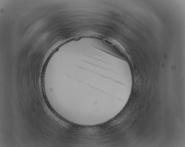 X0000073450947200608251702