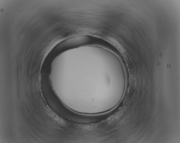 X0000073450948200608251702