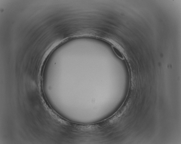 X0000073450949200608251702