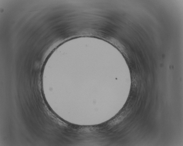 X0000073450950200608251702