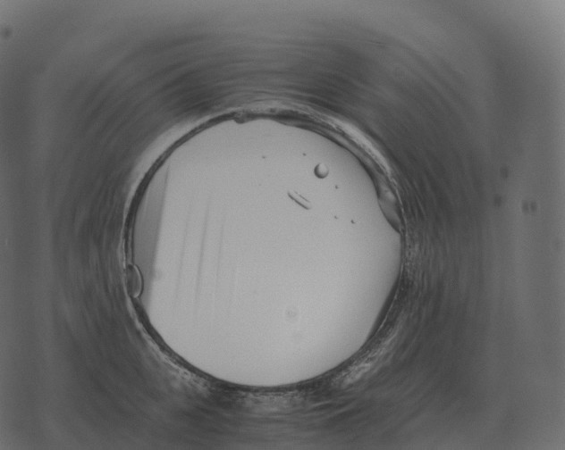 X0000073450951200608251702