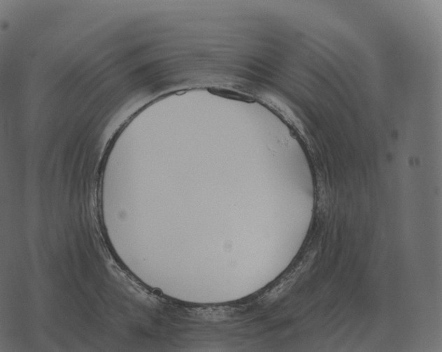 X0000073450952200608251702