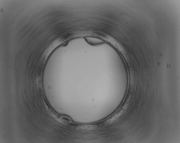 X0000073450953200608251702