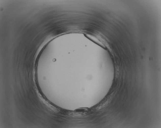 X0000073450955200608251702