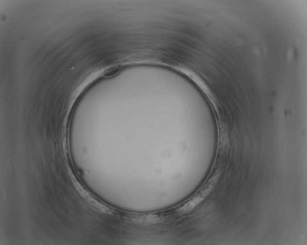 X0000073450957200608251702