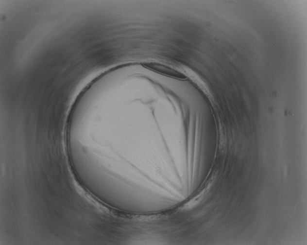 X0000073450958200608251702