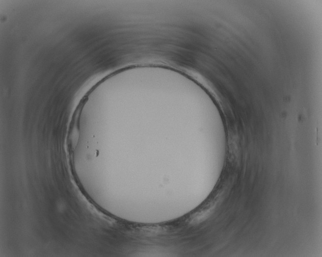 X0000073450959200608251702