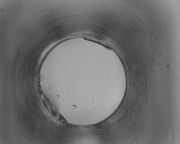 X0000073450960200608251702