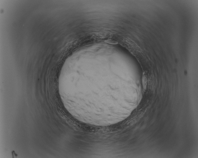 X0000073450961200608251702