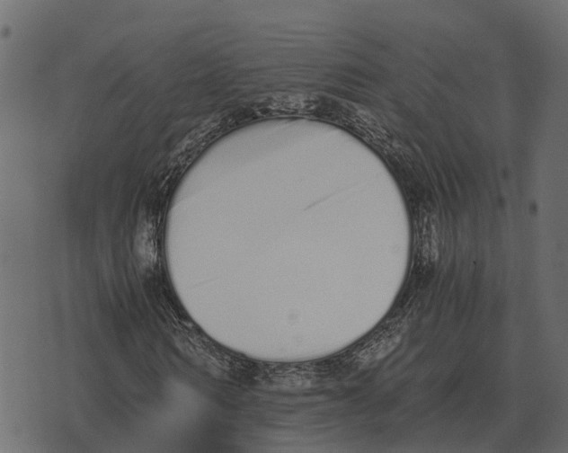 X0000073450962200608251702