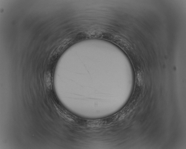 X0000073450963200608251702