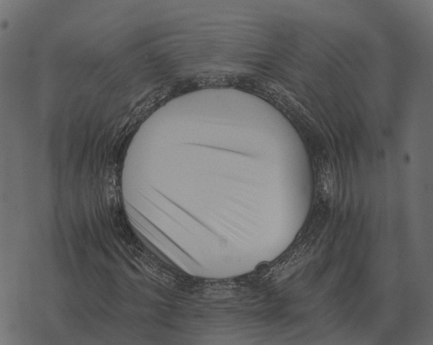 X0000073450964200608251702