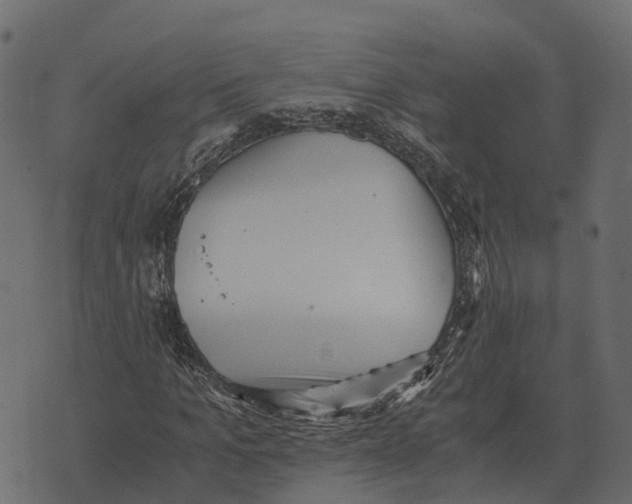 X0000073450965200608251702