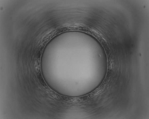 X0000073450966200608251702