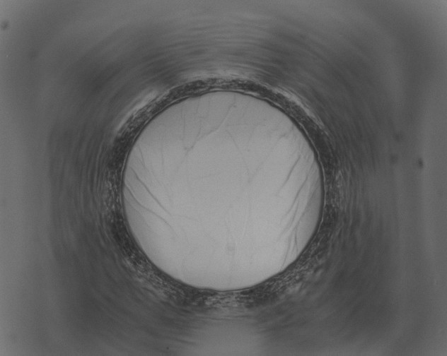 X0000073450967200608251702