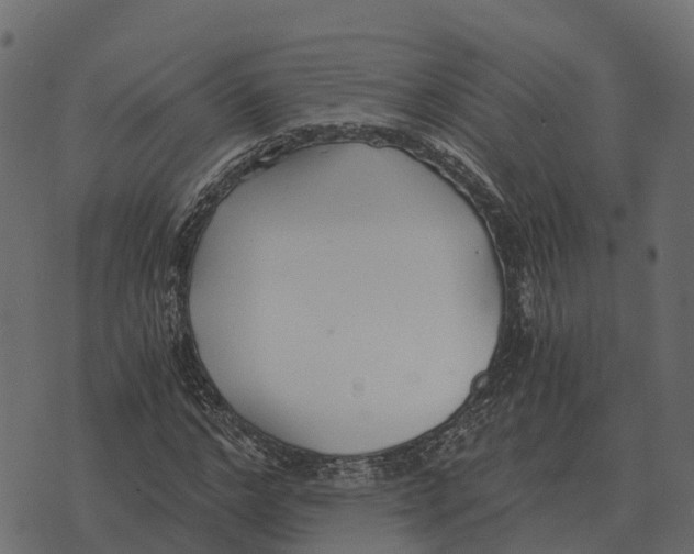 X0000073450968200608251702