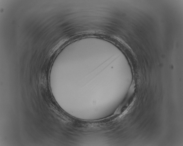 X0000073450969200608251702