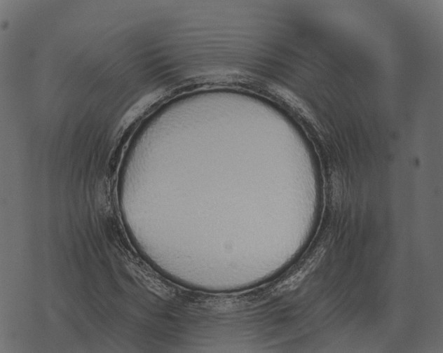 X0000073450970200608251702