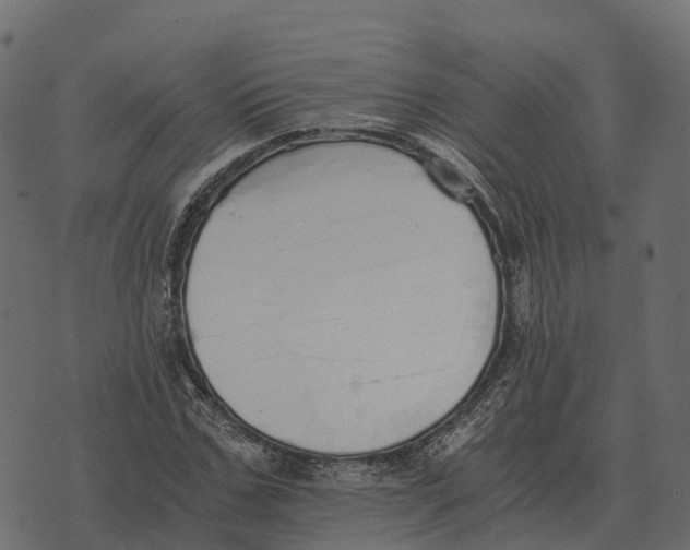 X0000073450971200608251702