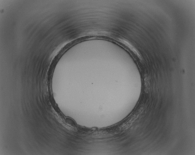 X0000073450972200608251702