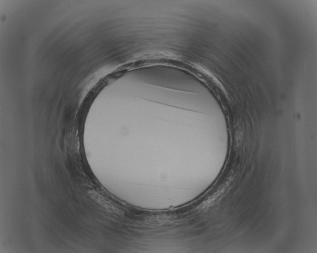 X0000073450973200608251702