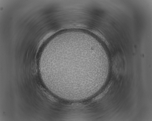 X0000073450974200608251702