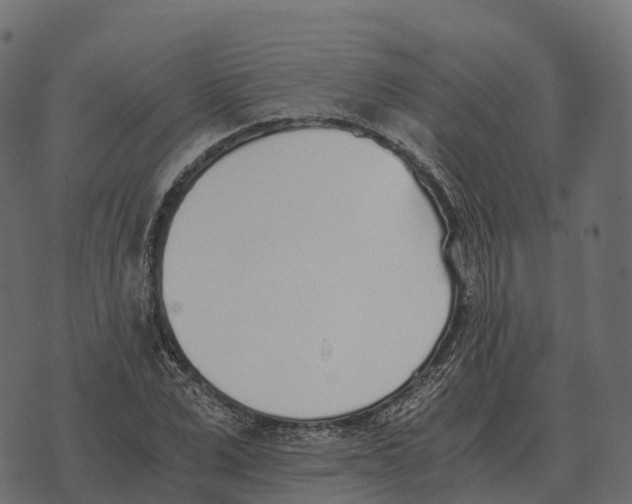 X0000073450975200608251701