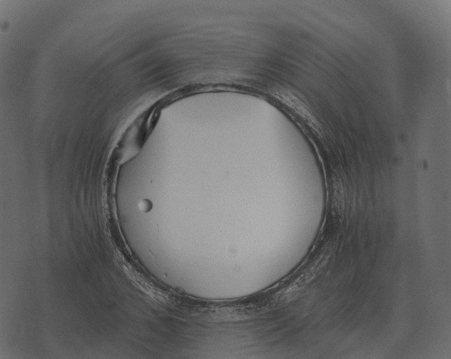 X0000073450976200608251701