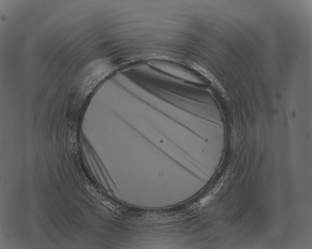 X0000073450977200608251701