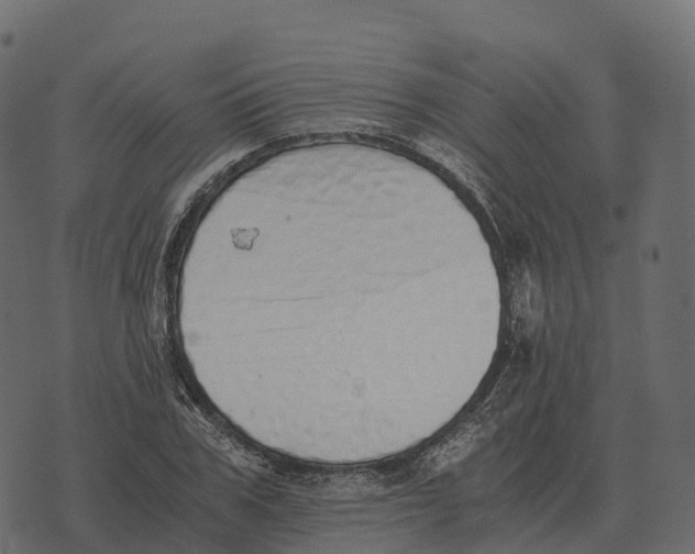 X0000073450979200608251701