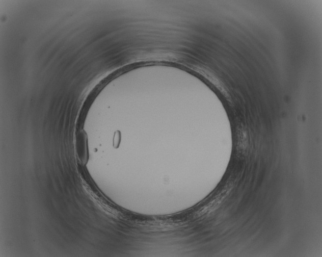 X0000073450980200608251701