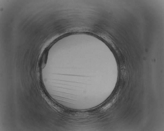 X0000073450981200608251701