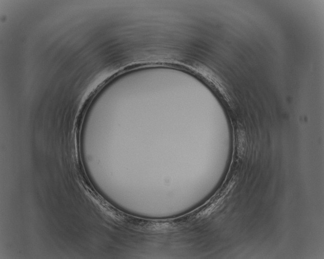 X0000073450982200608251701