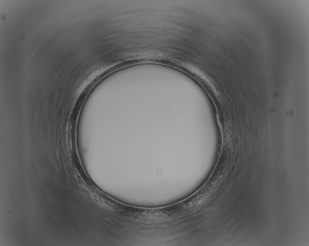 X0000073450983200608251701