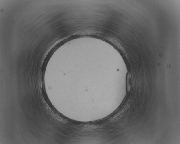 X0000073450984200608251701