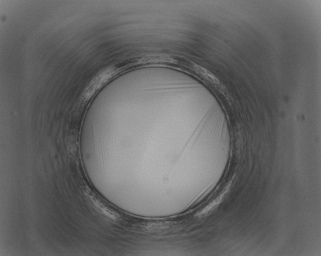 X0000073450985200608251701