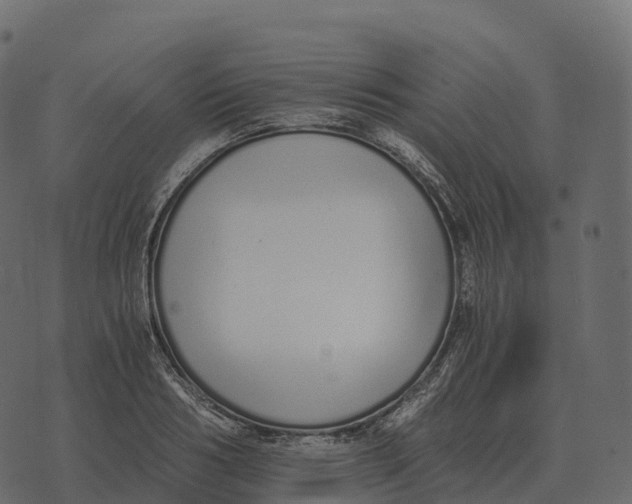 X0000073450986200608251701