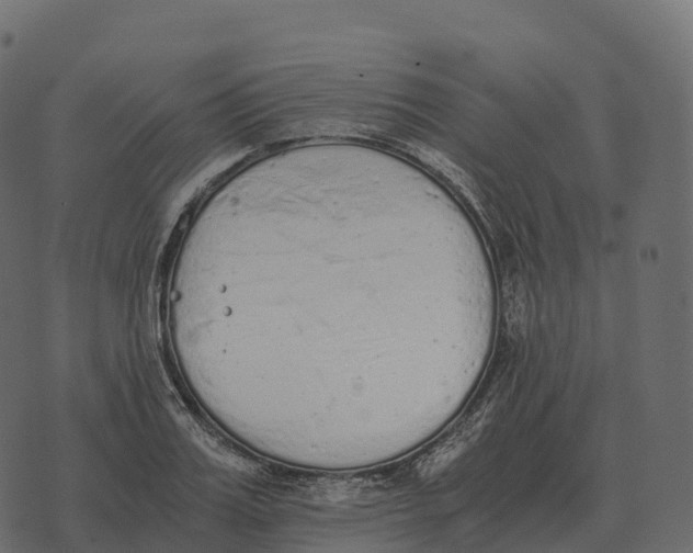 X0000073450987200608251701