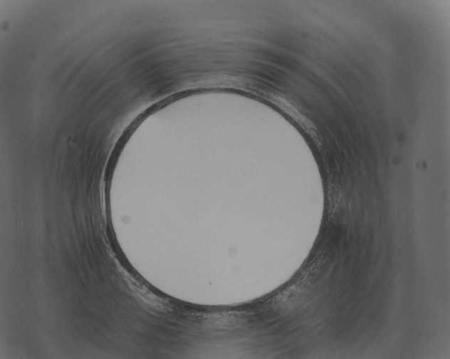 X0000073450988200608251701