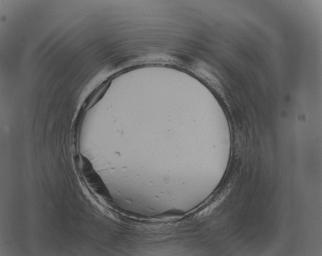 X0000073450989200608251701